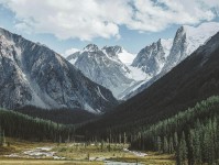 茶杯狐像排错：先查主语有没有对上，再把相关写回相关（像打口径补丁）