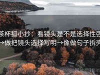 茶杯狐小抄：看镜头是不是选择性强→做把镜头选择写明→像做句子拆壳