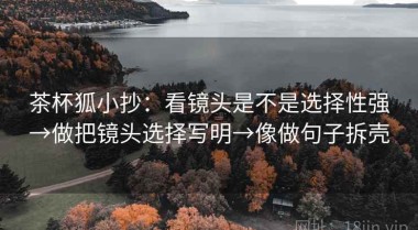 茶杯狐小抄：看镜头是不是选择性强→做把镜头选择写明→像做句子拆壳