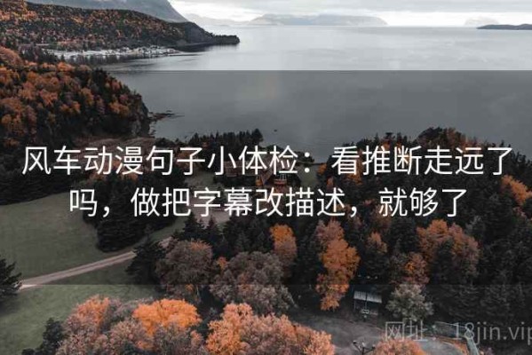风车动漫句子小体检：看推断走远了吗，做把字幕改描述，就够了