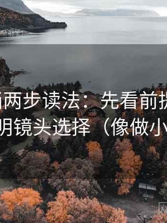 香蕉漫画两步读法：先看前提说了吗，再写明镜头选择（像做小流程）