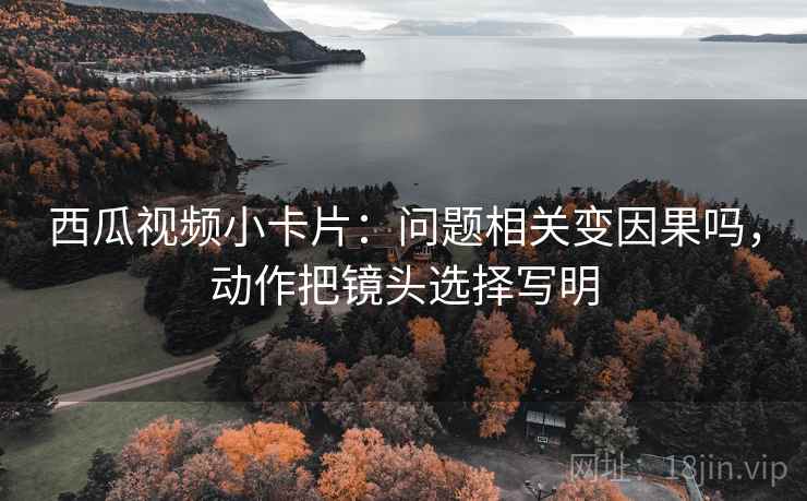 西瓜视频小卡片：问题相关变因果吗，动作把镜头选择写明
